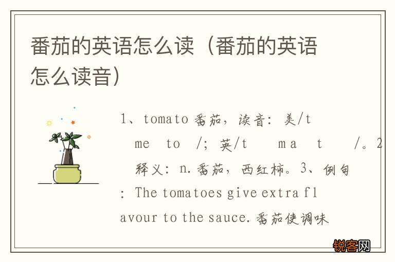 番茄的英语怎么读音 番茄的英语怎么读