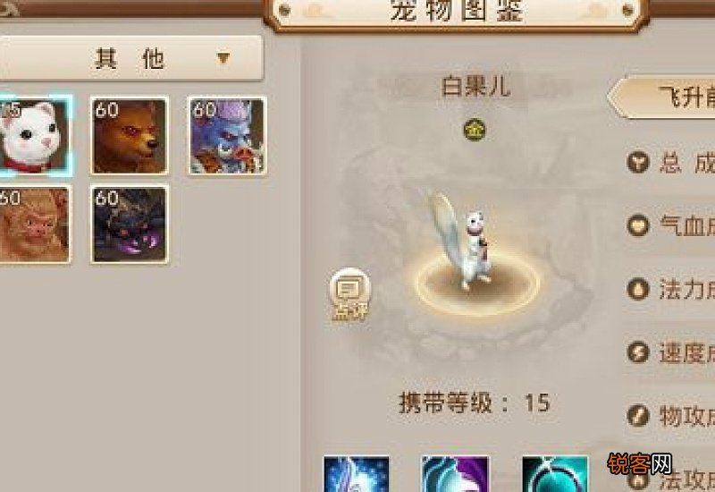 问道白果儿怎么加点和抗性 问道白果儿怎么加点