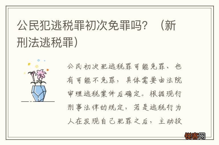 新刑法逃税罪 公民犯逃税罪初次免罪吗？