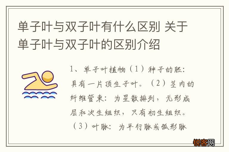 单子叶与双子叶有什么区别 关于单子叶与双子叶的区别介绍