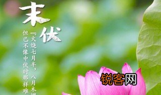 末伏天气是什么意思 末伏天气的意思