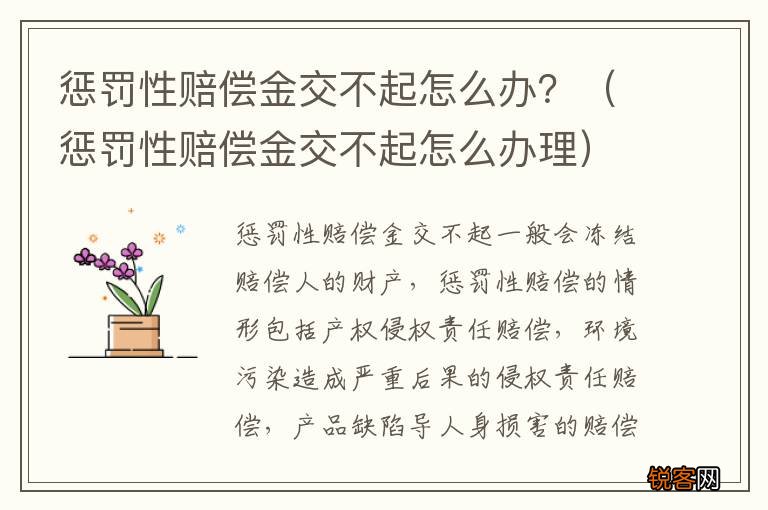 惩罚性赔偿金交不起怎么办理 惩罚性赔偿金交不起怎么办？