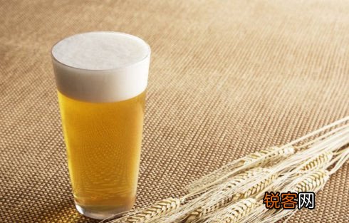 夏季喝啤酒八不宜