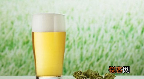 夏季喝啤酒八不宜