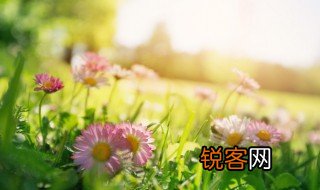 水光潋滟晴方好描写了什么景色 水光潋滟晴方好描写了怎样的景色