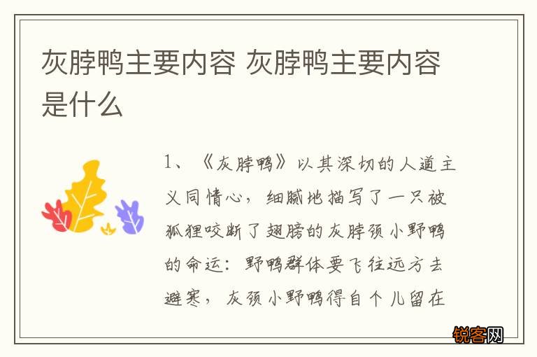 灰脖鸭主要内容 灰脖鸭主要内容是什么