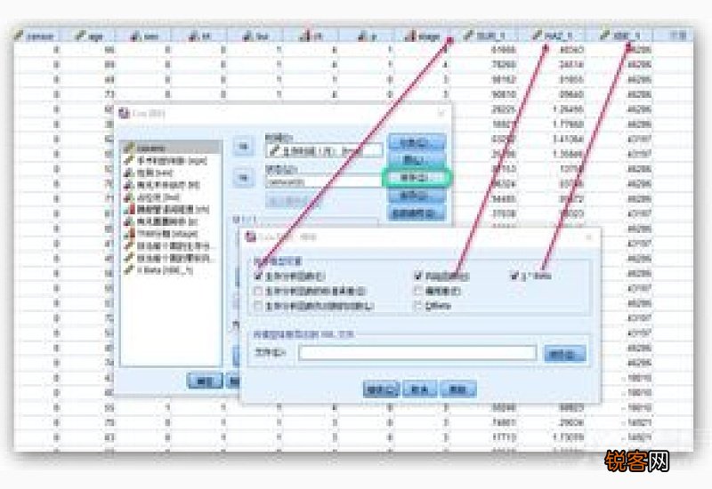 spss是什么意思