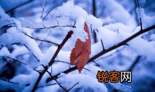 写冬景的优美段落摘抄 写冬景的优美语录