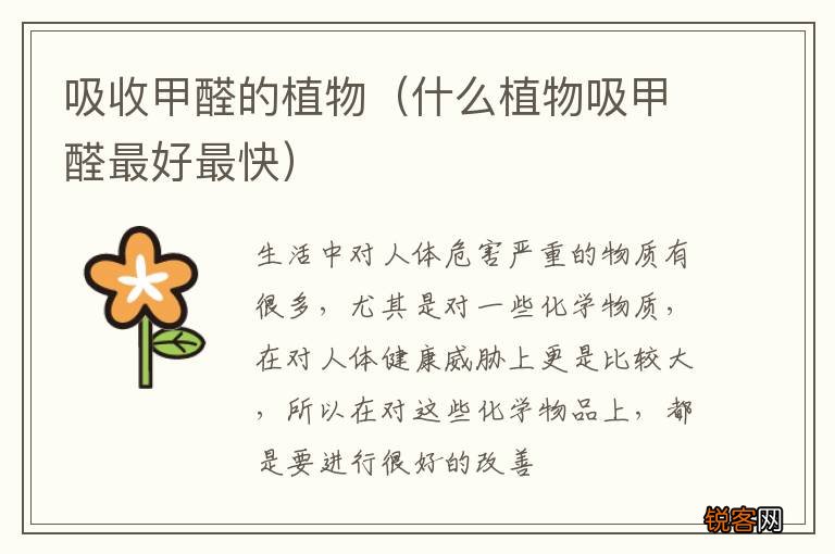 什么植物吸甲醛最好最快 吸收甲醛的植物