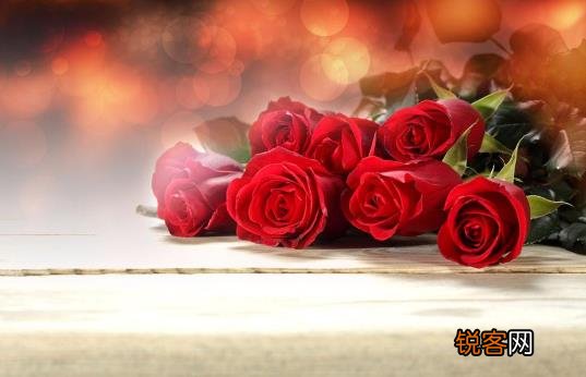 怎么能让玫瑰花不枯萎 如何让玫瑰花持久不枯萎