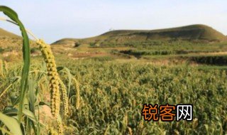 田畴是什么意思 田畴简单释义