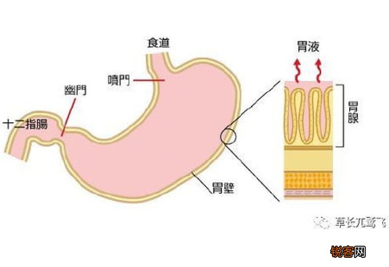 细菌怎么那么难杀死