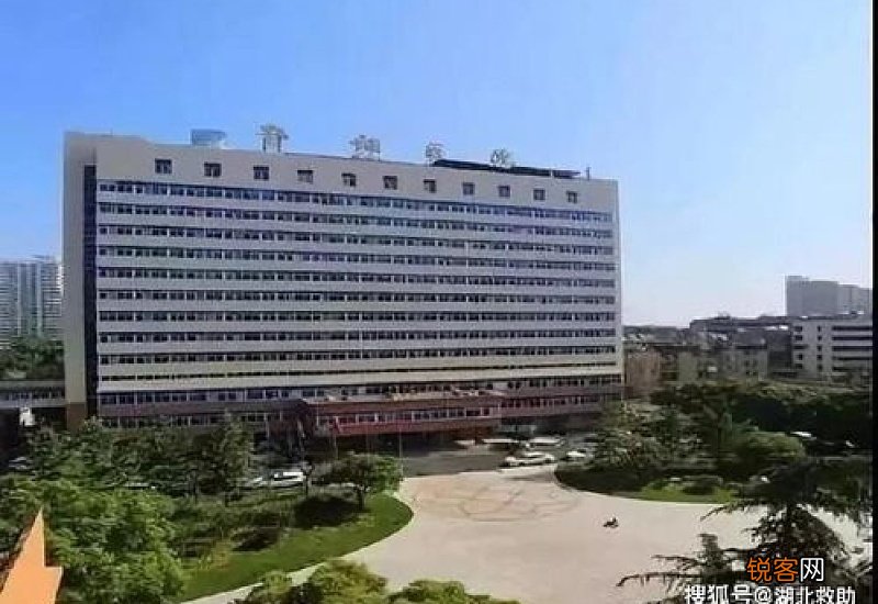 武汉哪些医院是疫情定点医院