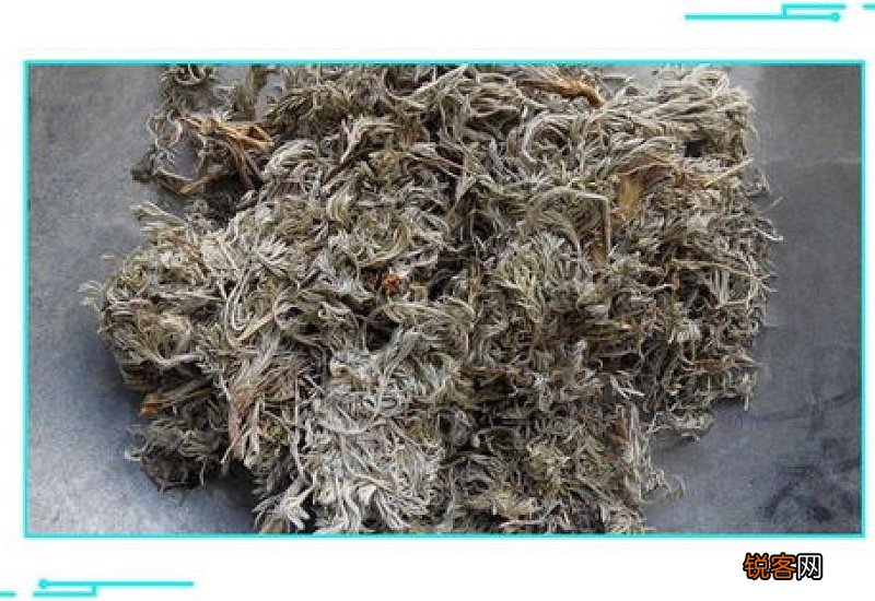 茵陈能治咽炎吗 茵陈熬水一次多少
