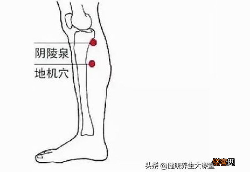 刮痧真的能去湿气吗 湿气重刮痧刮哪个位置