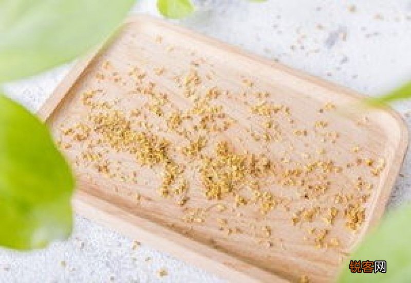 五类人不能喝菊花茶 菊花茶可以天天喝吗