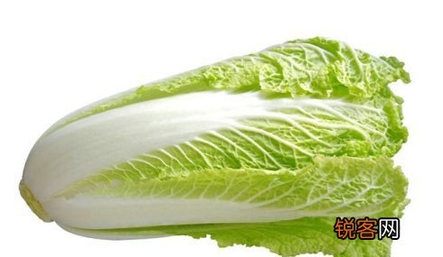 如何分辨白菜是否喷甲醛