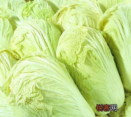 如何分辨白菜是否喷甲醛