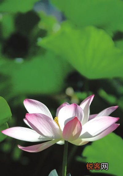 辟谷:古老的养生方法