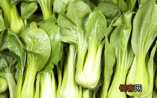 夏季养生必知的3种方法