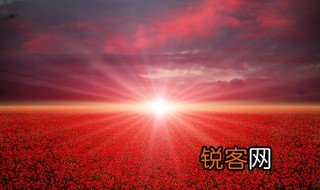 忠实的向导指的是什么 忠实的向导指的是什么意思