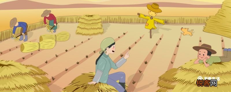 白露节气农作物现象有哪些 白露节气农作物现象
