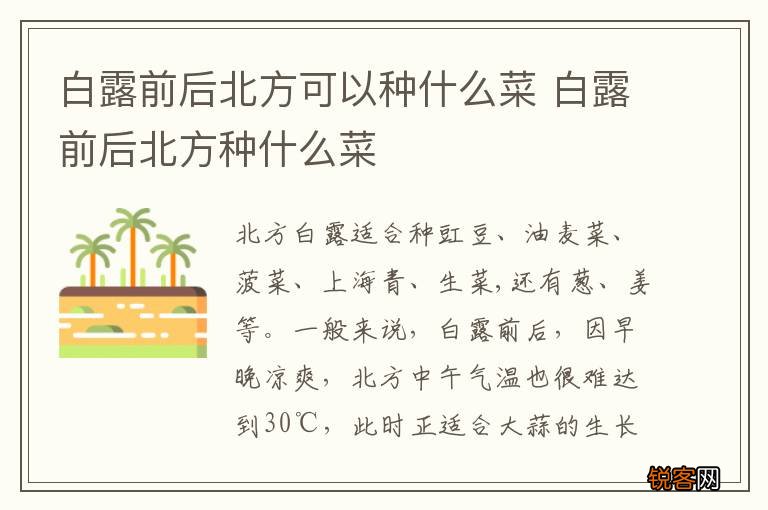 白露前后北方可以种什么菜 白露前后北方种什么菜