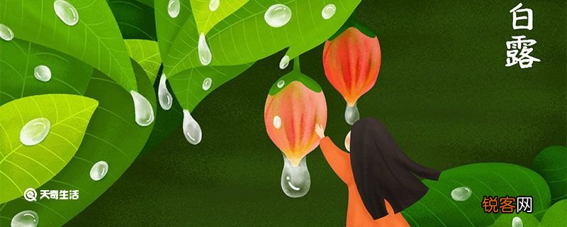 二十四节气白露的含义 节气白露的含义