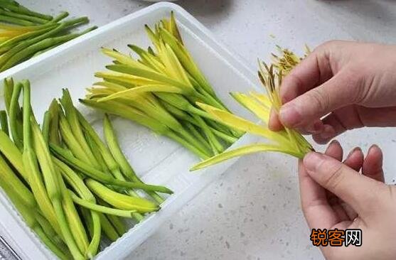 鲜黄花菜如何做去毒