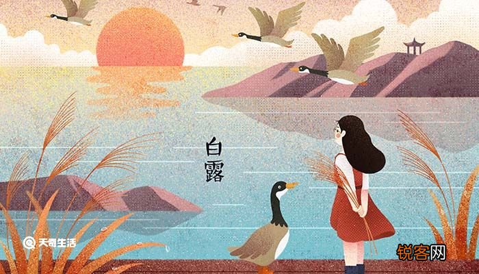 白露节气农作物的生长 白露节气的特点