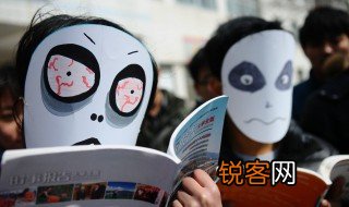 不解风情是什么意思 青春不解风情是什么意思
