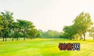 地衣和什么是互利共生 地衣是真菌和低等光合生物互利共生对吗