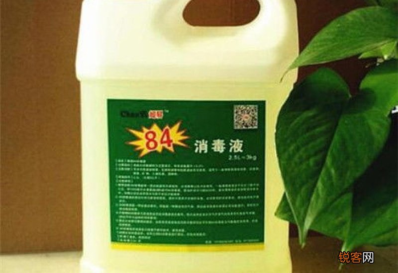 84和水的比例是多少