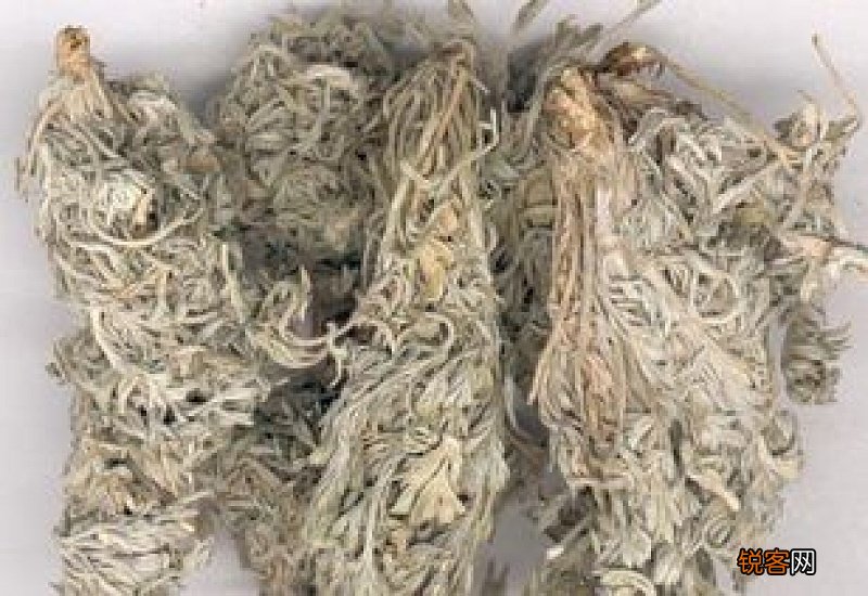 茵陈有毒吗 茵陈需要焯水吗