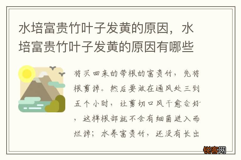 水培富贵竹叶子发黄的原因，水培富贵竹叶子发黄的原因有哪些