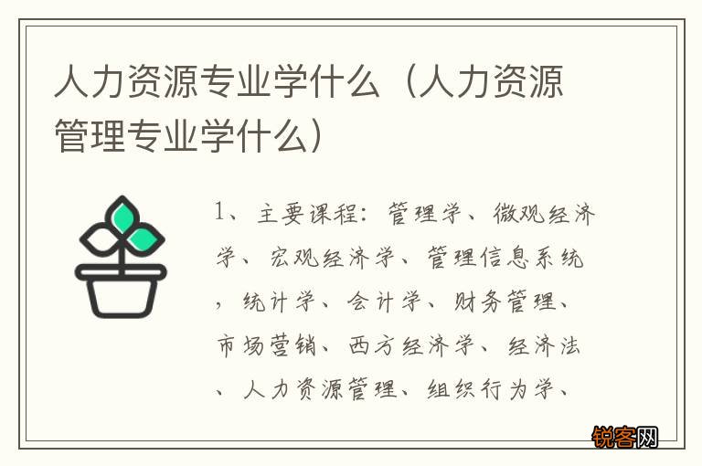 人力资源管理专业学什么 人力资源专业学什么