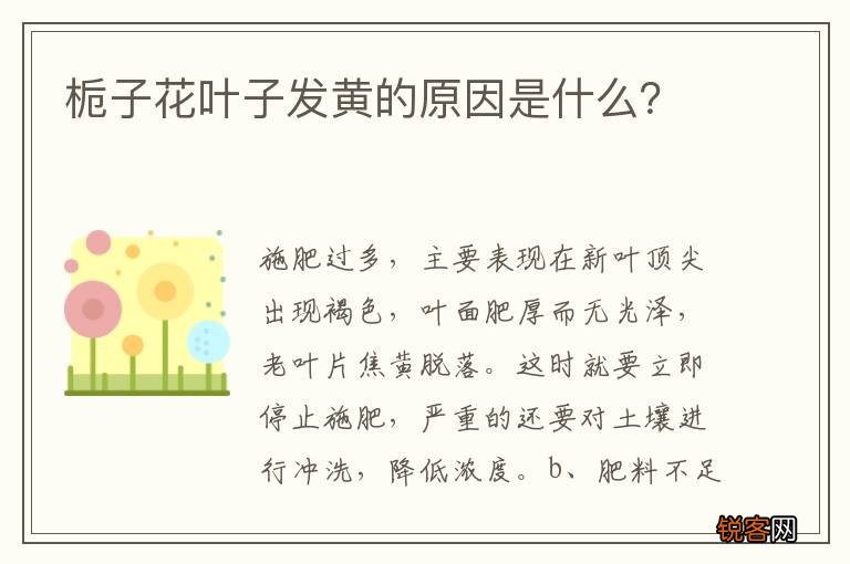 栀子花叶子发黄的原因是什么？