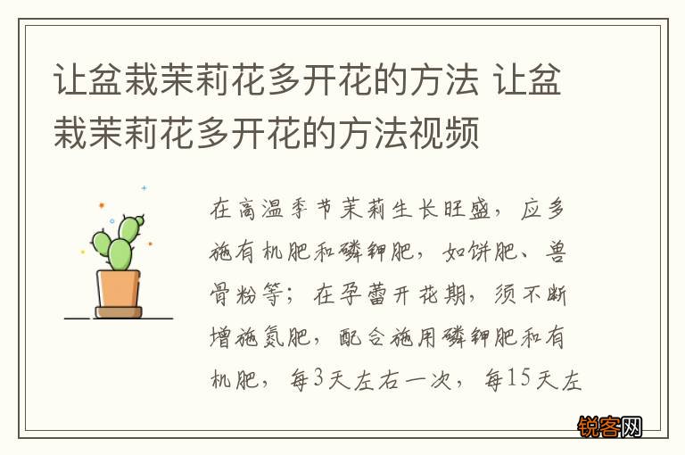 让盆栽茉莉花多开花的方法 让盆栽茉莉花多开花的方法视频