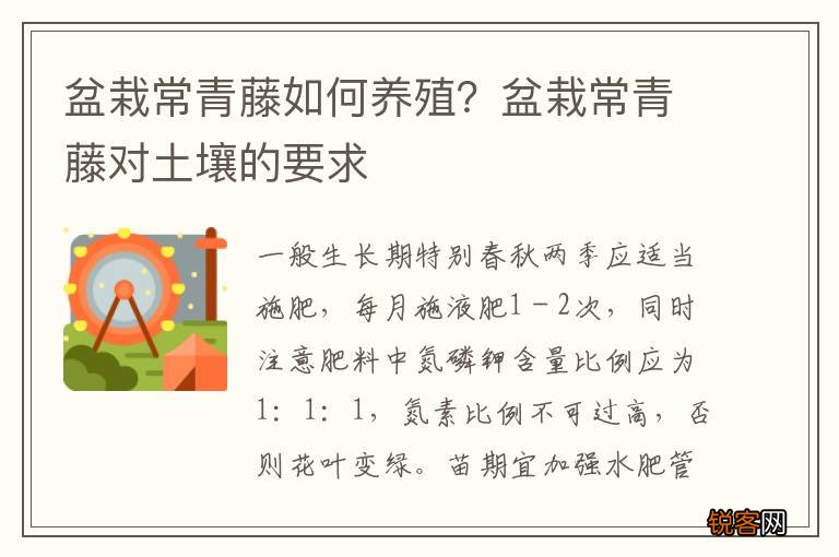 盆栽常青藤如何养殖？盆栽常青藤对土壤的要求