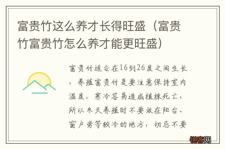 富贵竹富贵竹怎么养才能更旺盛 富贵竹这么养才长得旺盛