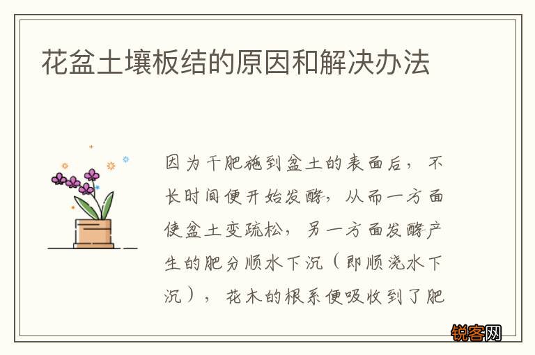 花盆土壤板结的原因和解决办法