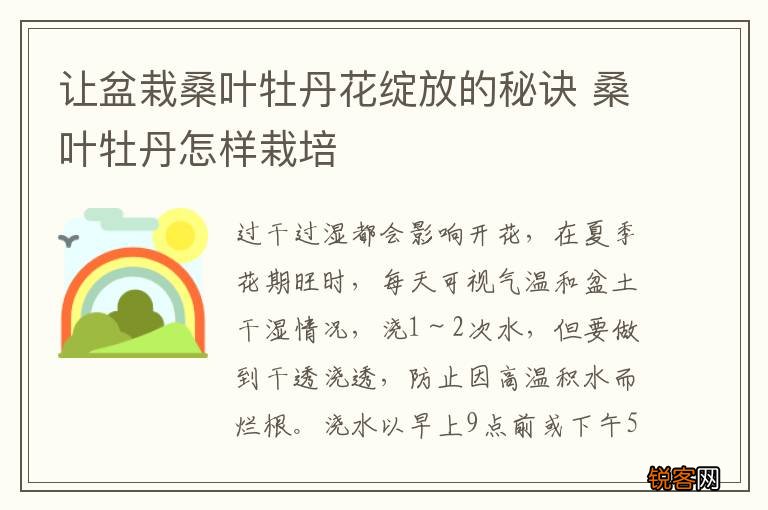 让盆栽桑叶牡丹花绽放的秘诀 桑叶牡丹怎样栽培