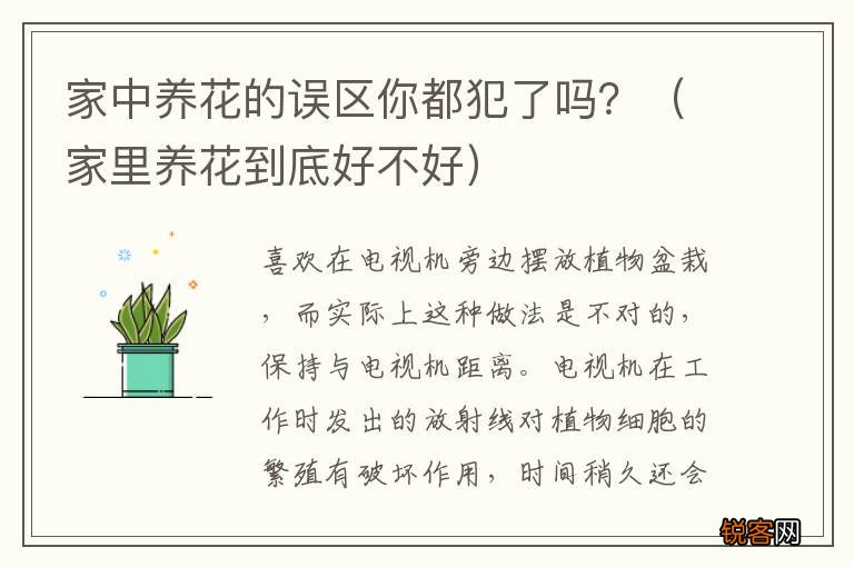 家里养花到底好不好 家中养花的误区你都犯了吗？