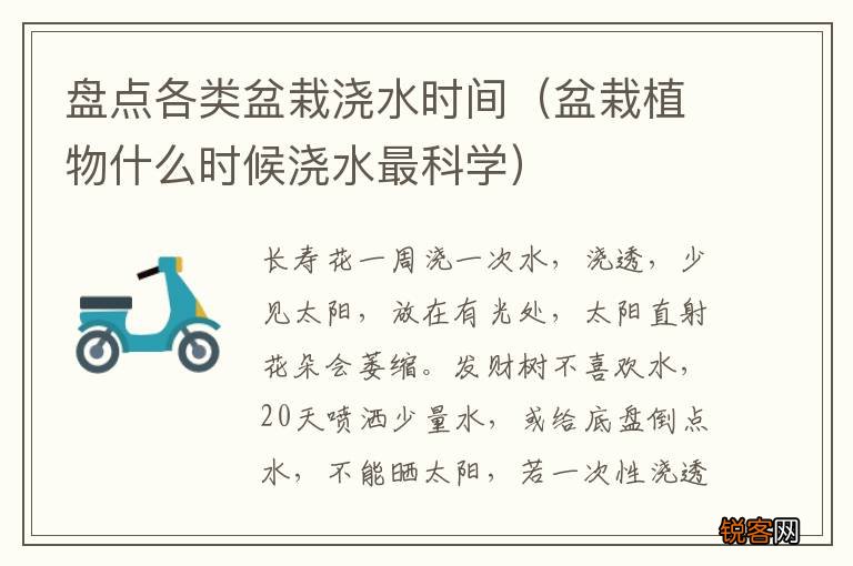 盆栽植物什么时候浇水最科学 盘点各类盆栽浇水时间