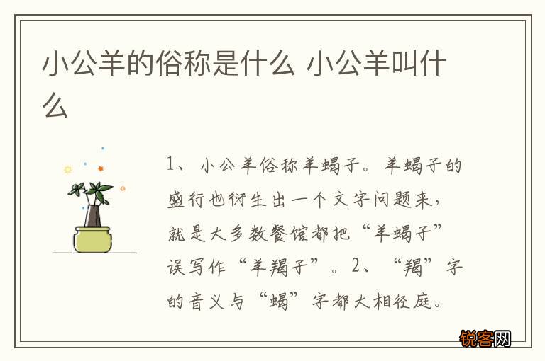 小公羊的俗称是什么 小公羊叫什么