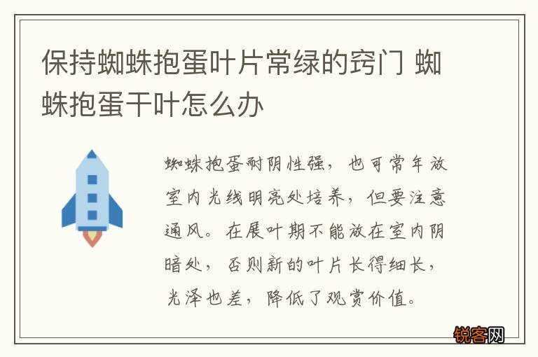 保持蜘蛛抱蛋叶片常绿的窍门 蜘蛛抱蛋干叶怎么办