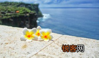 皮囊经典语录 皮囊的经典语录有哪些