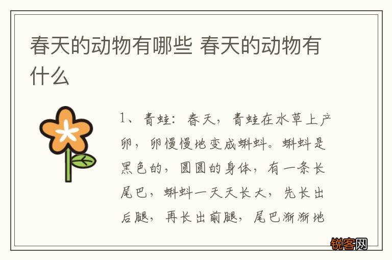 春天的动物有哪些 春天的动物有什么