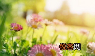春天的动物有哪些 春天的动物有什么