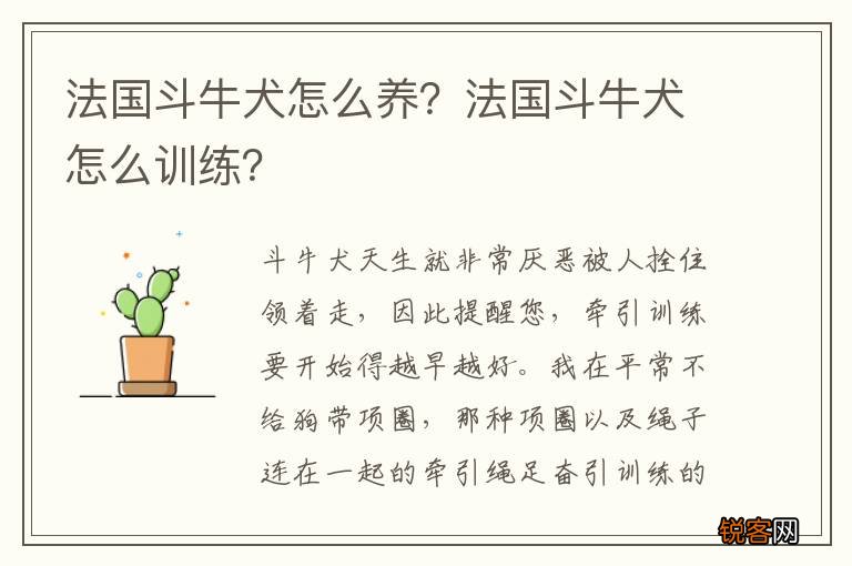 法国斗牛犬怎么养？法国斗牛犬怎么训练？